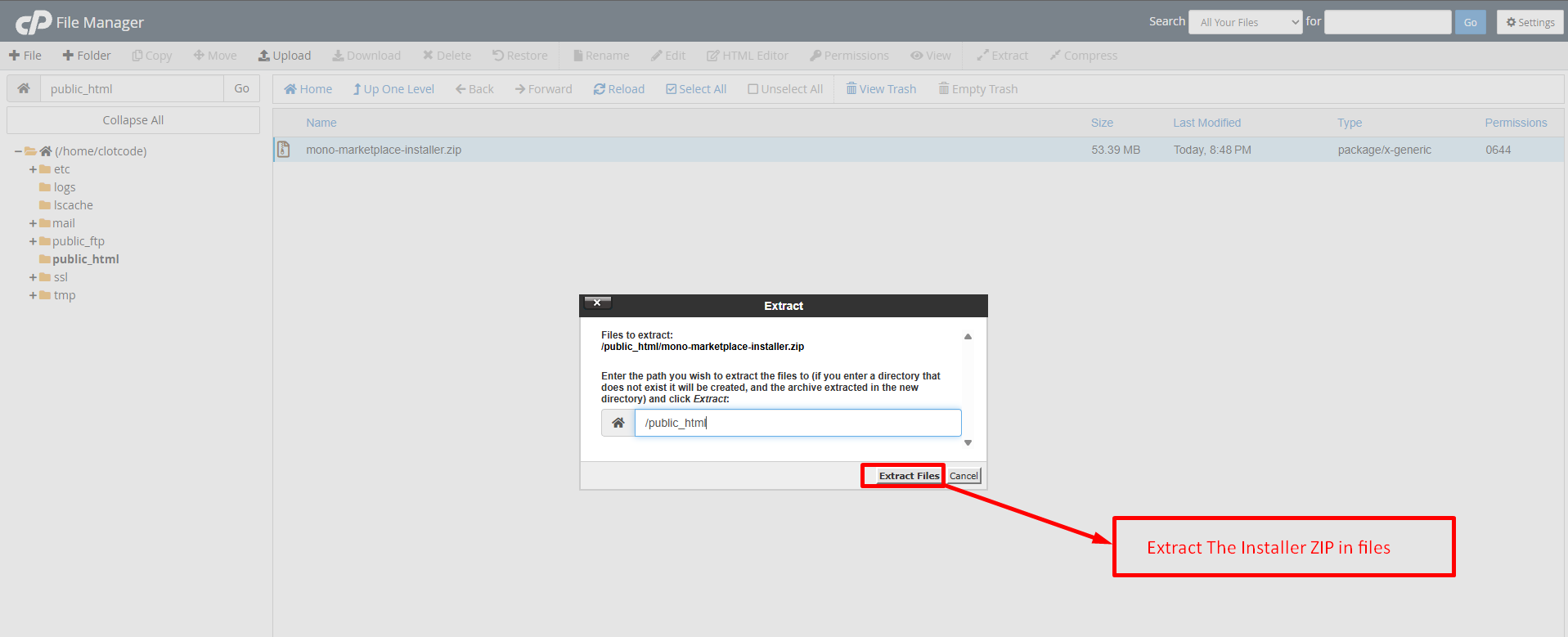 cPanel File Manager with the Extract dialog open, the destination path set to /public_html, and the Extract Files button highlighted.
